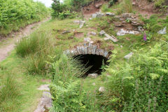 
Hills Tramroad to Llanfoist, Tramroad tunnel from West, June 2009